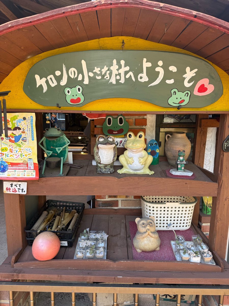 GUM_aoi's tweet photo. 『ご当地クイズHIGH＆LOW！！』

#ケロンの小さな村
改めて皆様素敵な時間をありがとうございました😊
能登の復興に少しでもお手伝いできる経験は貴重な経験になりました🙏
ピザ美味し過ぎて困りました笑
サウナの完成も楽しみにしています🐸
すっごい癒されるからみんなも是非行ってみてね🙌 https://t.co/7Eve8mlIDo