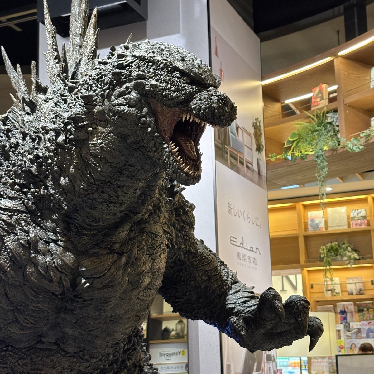 edion_tsutaya's tweet photo. ＼エディオン蔦屋家電にゴジラが襲来！／
『ゴジラ-0.0』のポップアップを10/22(木)まで開催！
巨大ゴジラ立像の展示やInocon904とのコラボグッズを販売しております。
おしゃべり唐あげ あげ太くんとのコラボグッズも！
みなさまのご来場お待ちしております！
📍1Fエントランス https://t.co/GrmLBy3DZu