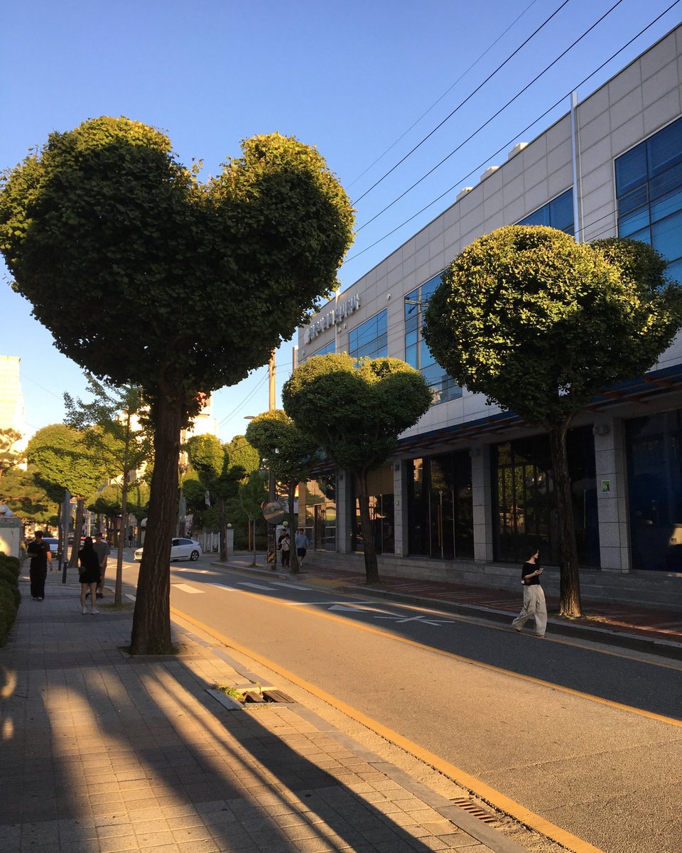 Kor_Visitkorea's tweet photo. 진짜 낭만은 AI로 대체 못합니다..🤍 https://t.co/BzPrUFAI5r