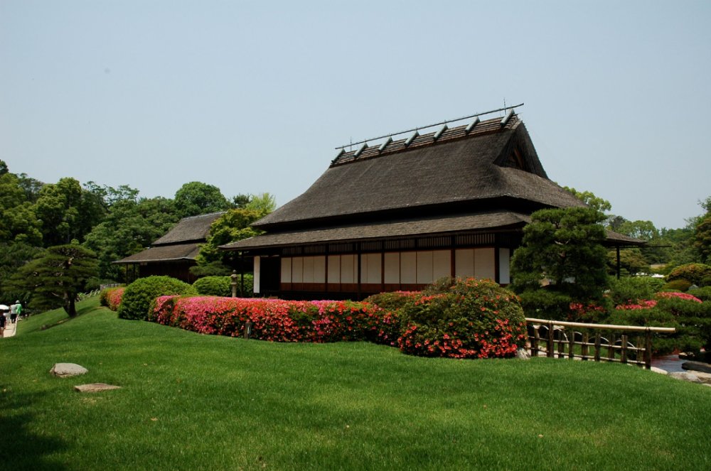 lfqly's tweet photo. [庭の手入れ中、古い畑の周りに立つ大きな圃場の柵を見つけた。ここには昔、たくさんの花が咲いていたんだろうなぁ。]， https://t.co/Z6bYl6DeV3