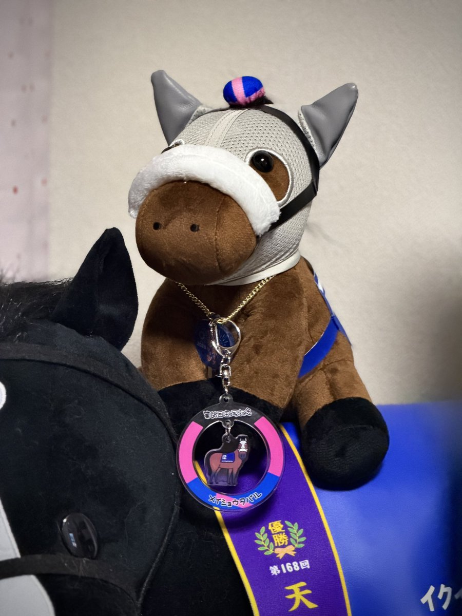 Unofficialyukki's tweet photo. ウェルカムチャンスで当てたタバさんアクリルキーホルダーをやっとタバさんぬいに付けられた✨️ https://t.co/YDBPFuLZDg