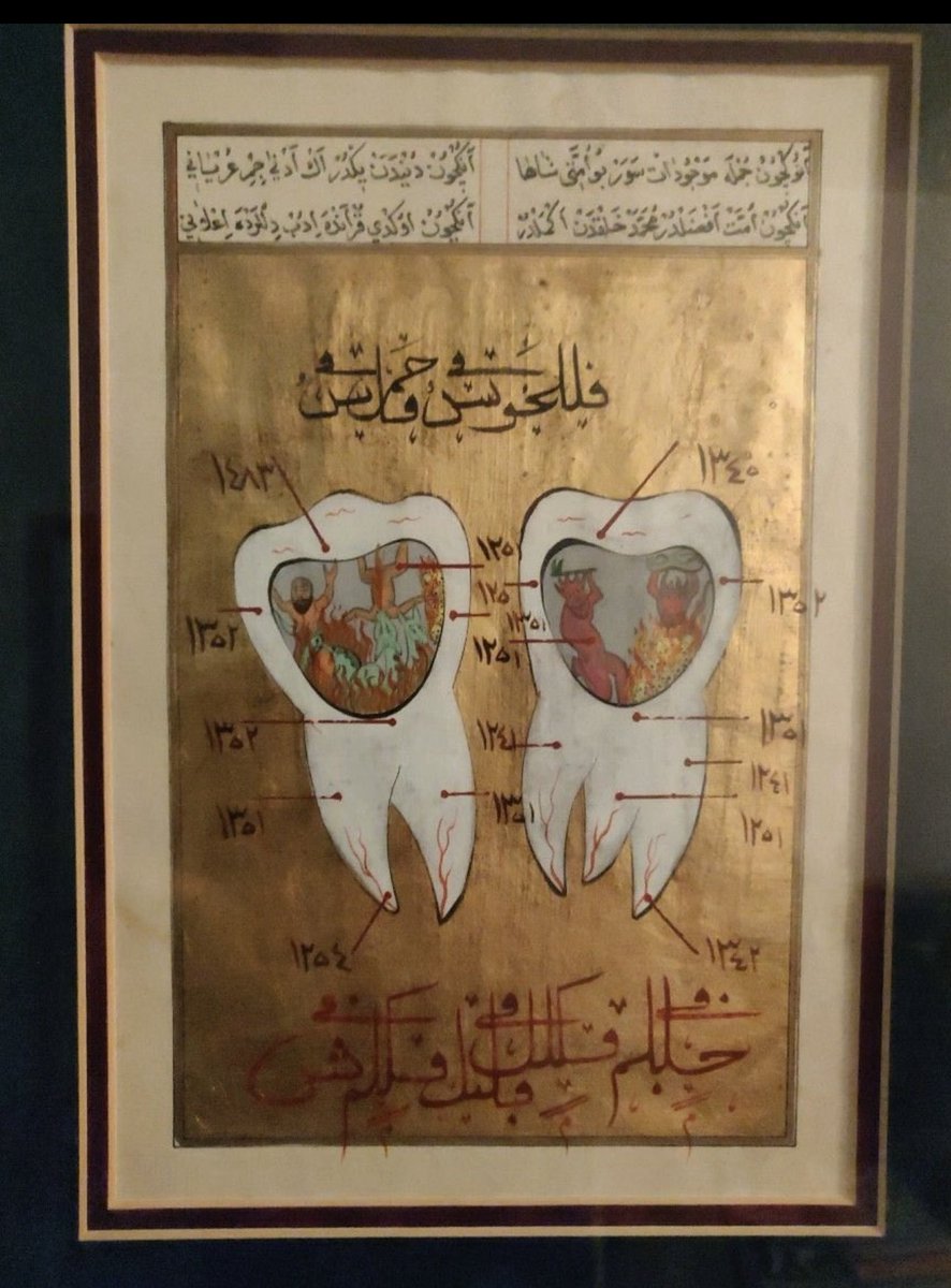 ryousifacu's tweet photo. صور من كتاب طبي لتشريح الاسنان من زمن الامبراطورية العثمانية

اعملوا زووم وتذكروا سلسلتي أشجار القولون https://t.co/16srOlLJKa