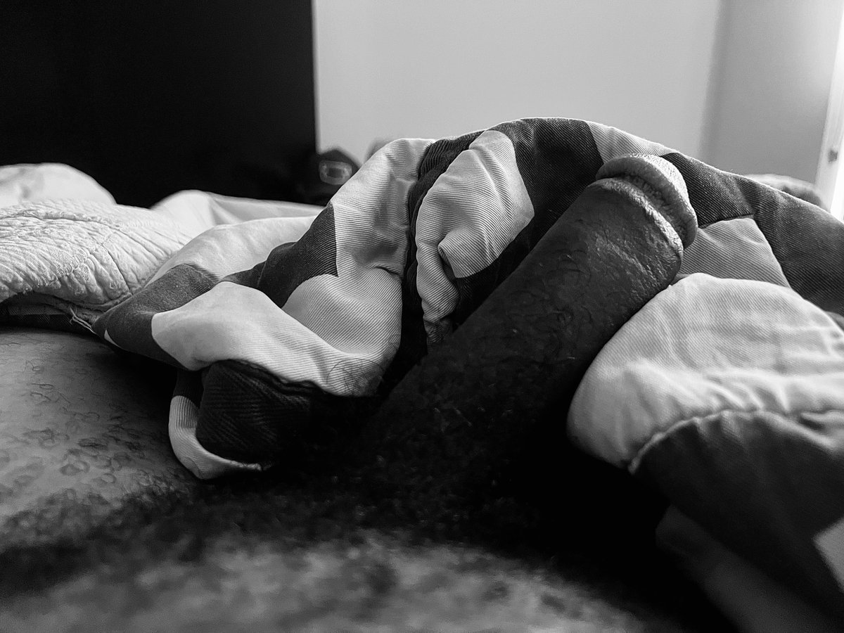 Ceedro's tweet photo. Slump Day. // Hump Day. #WoodMorning

🩶🔨🐼🤎 https://t.co/fJp9bMSf1q