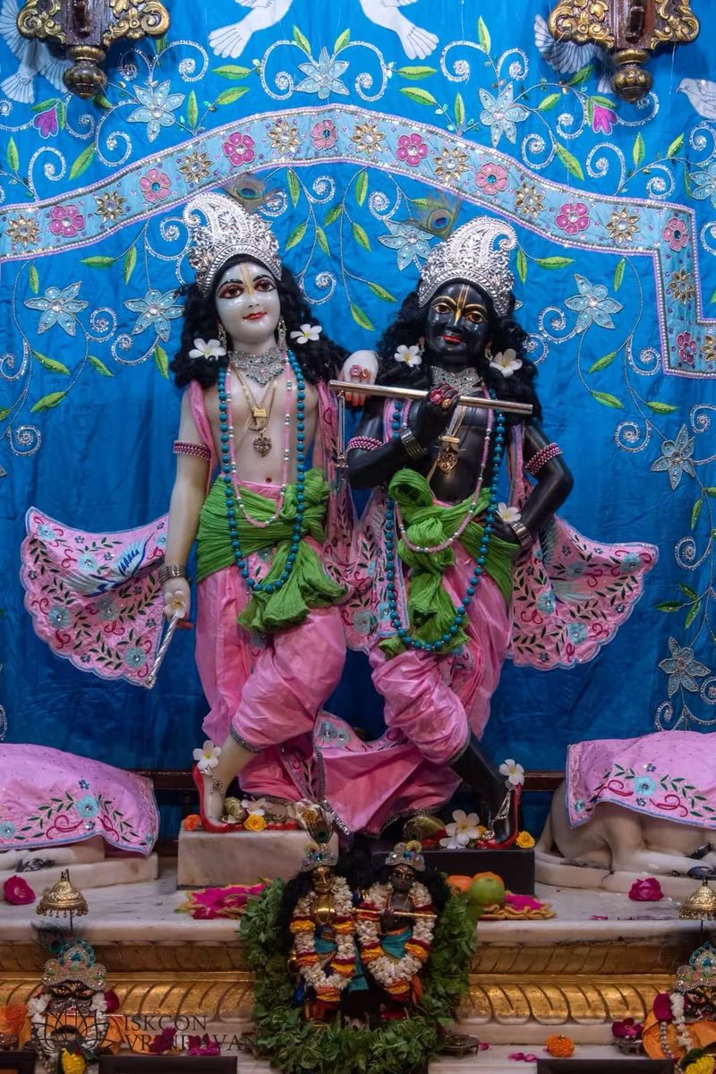 theholy_monk's tweet photo. Today's Mangal Arati Darshan 
ISKCON Temple Vrindavan 
Date: 14 Oct 2026

Nitai Gaurang 🌸🌿🌷
Krishna Balaram 🎉✨🍂
Radha Shyam Sundar 🌾🍀🍎 https://t.co/xPBqcn739n