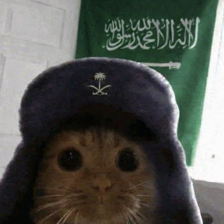 al2021al's tweet photo. @c8u12_ https://t.co/qe50hz2fMp