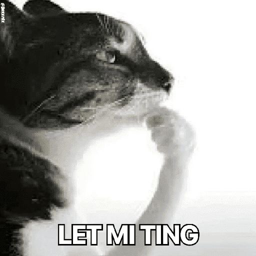 shhhyva's tweet photo. @kepencetturu a person who thinks all the time 🫡 @whyumeowmeowme https://t.co/XlMfe7UOGO
