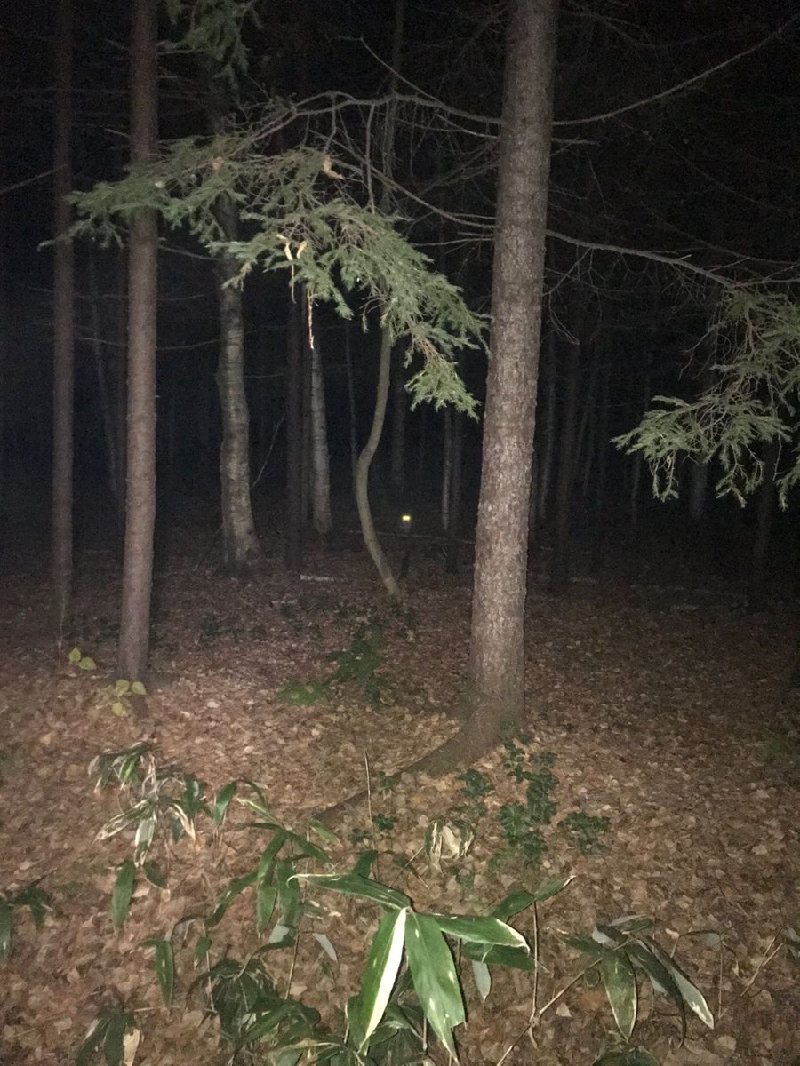 tobi30874374's tweet photo. I giggled at the mischievous ghost’s spooky yet playful shriek in the dark—what a fun little scene! https://t.co/29yzPQFS2W