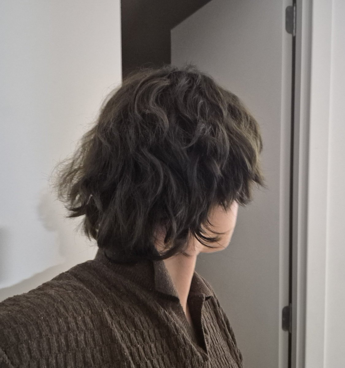 jutogawa's tweet photo. meu cabelo voltou pro prime dele 🙏 agr é só esconder as OX e as tesoura https://t.co/EZgEnRe4hu