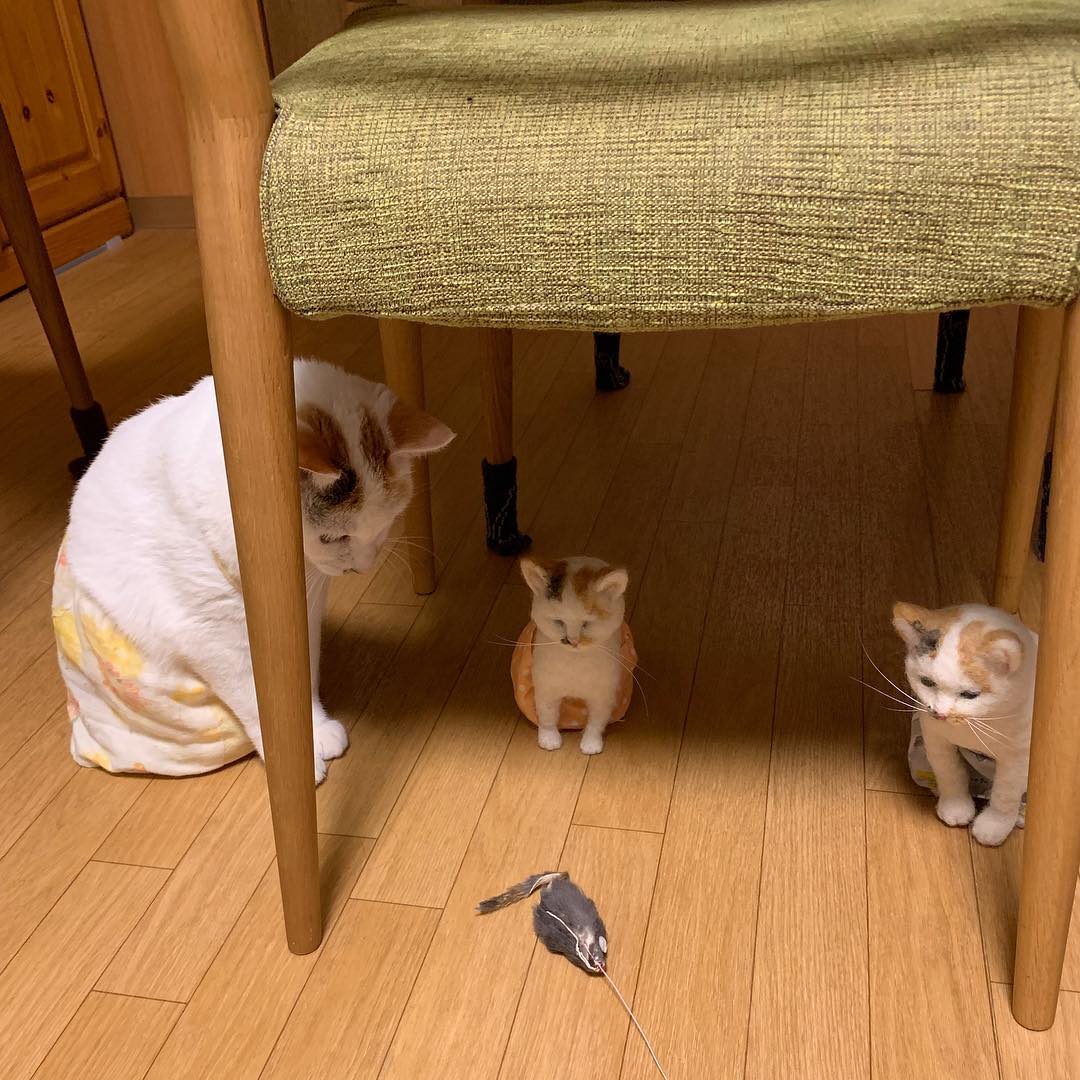 VerdellEberl's tweet photo. さっきからずっと同じ距離感を保ち続けている小さな気配たちを眺めながら、自分がいかに不器用に生きているかを思い知らされるような、そんな変な夕暮れでした。 https://t.co/qqKKewKm71