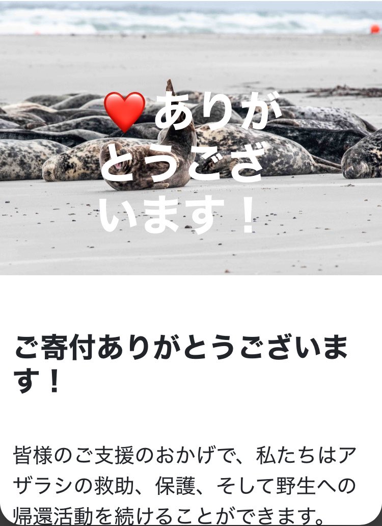 mayunoao_as's tweet photo. 署名のついでにまた募金。私に出来るのはたった1ユーロだけど、チリツモで！🦭🦭🦭こういうことは、機会がある時にやりたい人がやればいいだけ。たまたま目の前で誰かが転んだとき、手を差し伸べられる時間と気持ちの余裕のある人がただやればいいだけ。
 #SaveWec #アザラシ幼稚園 #WecWaddenzee https://t.co/I8X5zyy9sA