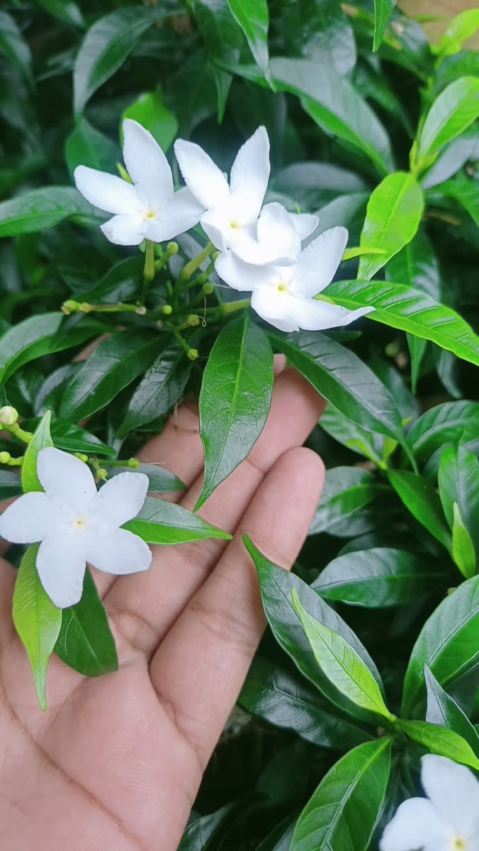 NATURE788 tweet picture