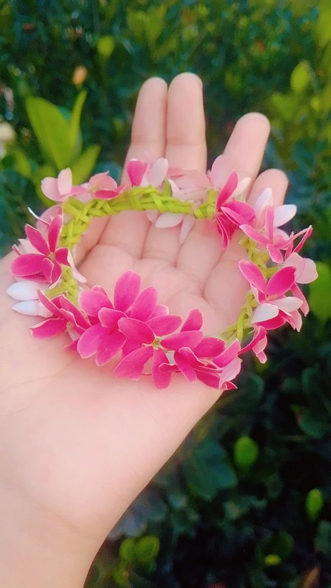 NATURE788 tweet picture