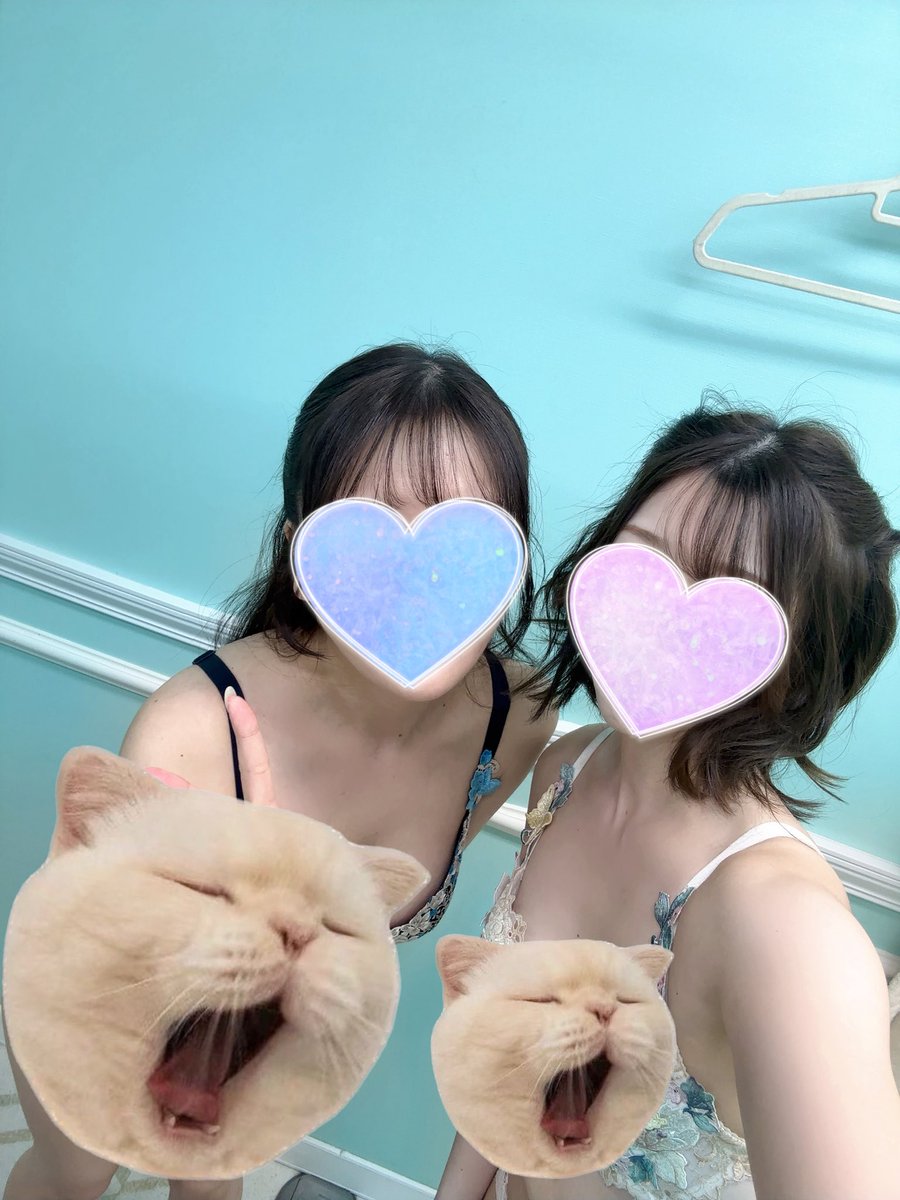 ygob_01's tweet photo. ペア撮影したにゃん📸 https://t.co/ZjnoxiCKfP