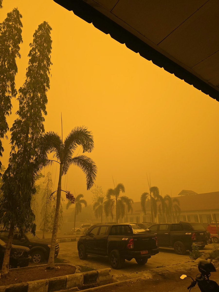 Teguhwidiarto's tweet photo. Palangkaraya, Kalimantan Tengah 
14 Oktober 2026
.
Semakin pekat dan semua tampak menguning https://t.co/UoWA5vYOCd