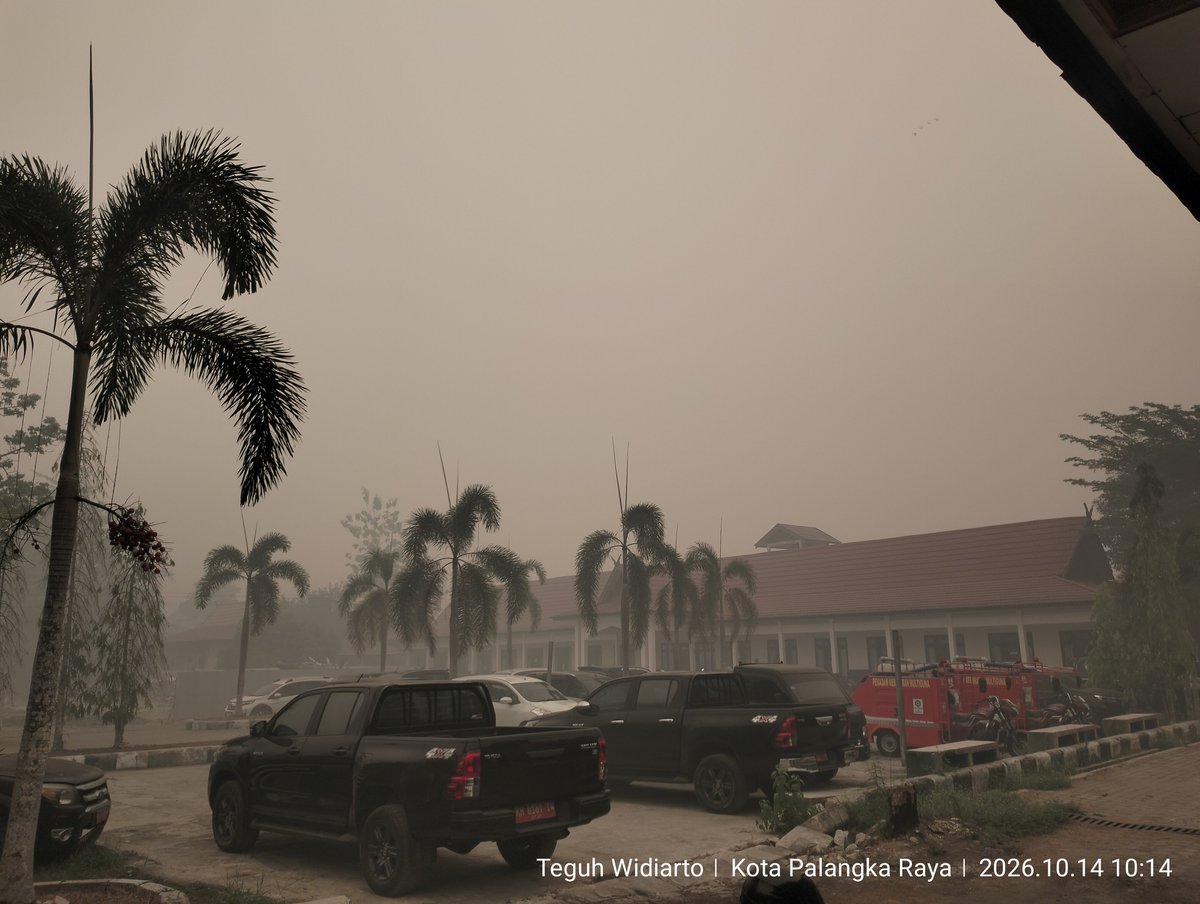 Teguhwidiarto's tweet photo. Palangkaraya, Kalimantan Tengah 
14 Oktober 2026
.
Semakin pekat dan semua tampak menguning https://t.co/UoWA5vYOCd