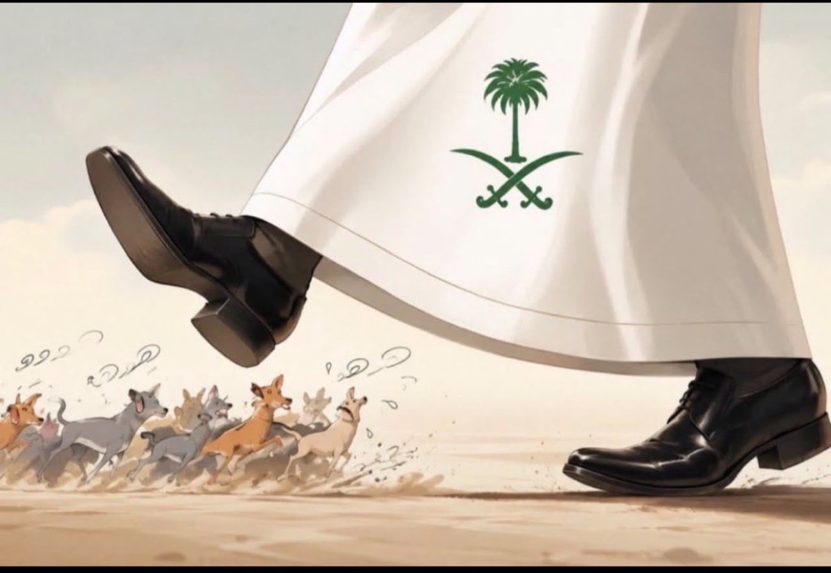 elhamalzhrani2's tweet photo. @gmi9__ والله ماشافت حسابها ارتفعت مشاهداته وطلعت ترند الا اذا جاب طاري السعوديه عشان كذا ارجوكم خلوها تنبح ارمو لها عظمه بس واسفهوها https://t.co/qklIRWPPRo