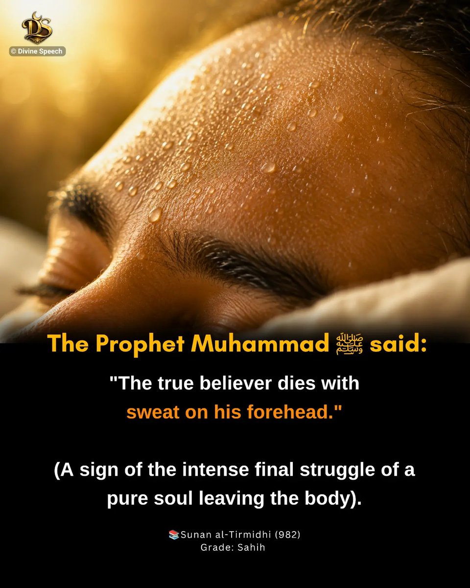 Mariyerh__'s tweet photo. Hadith of the day. https://t.co/L02bkYdzMQ