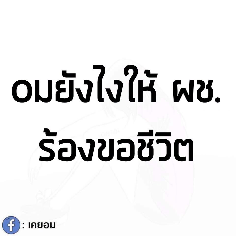 luckyluckyio7's tweet photo. 10ปีมานี้ยังไม่เจอ😅 https://t.co/1yGGoeOvvi
