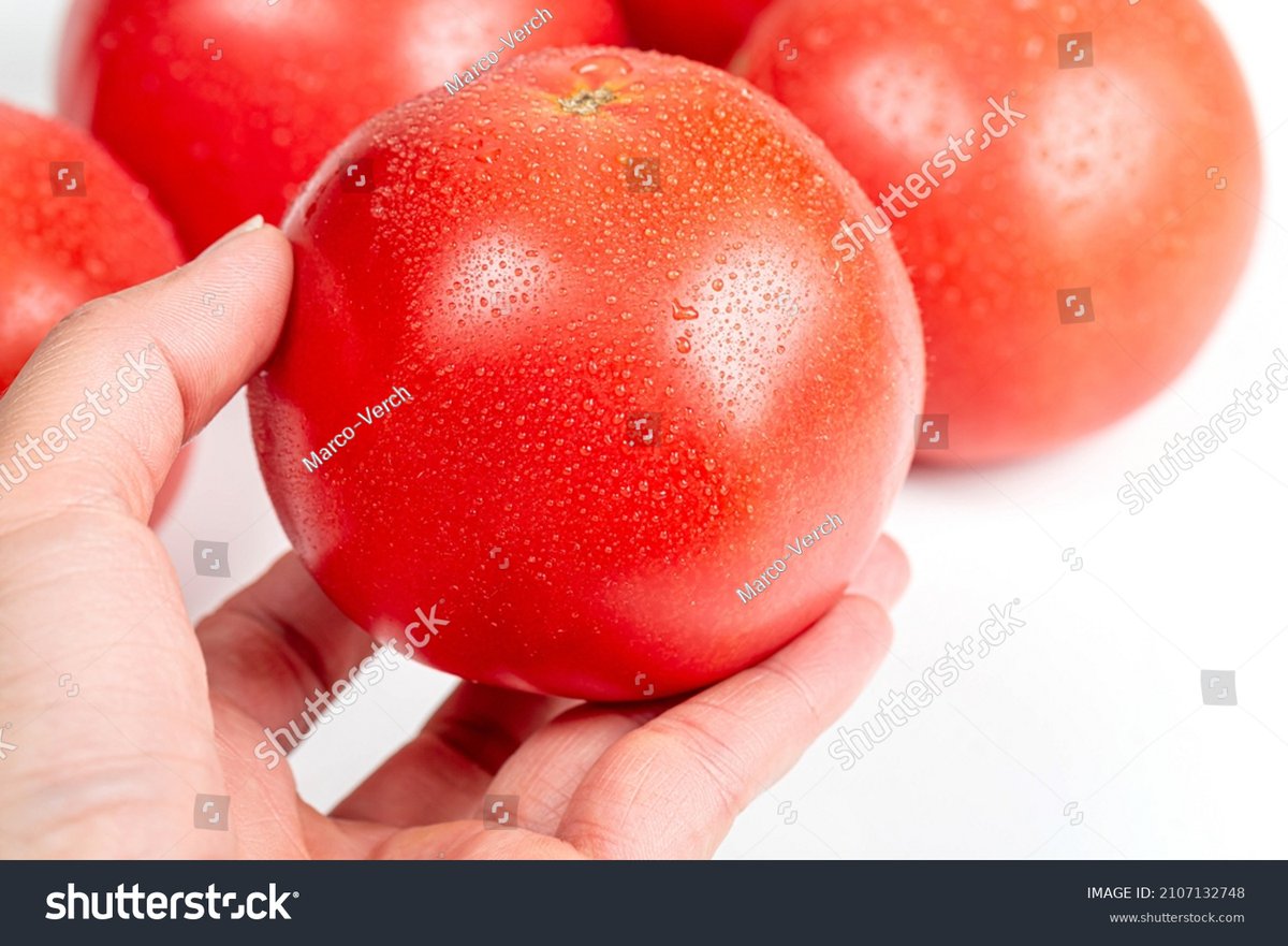 DHUART6's tweet photo. [I finally took a real bite of the juicy tomato today!]， https://t.co/qCeI8YtAr0