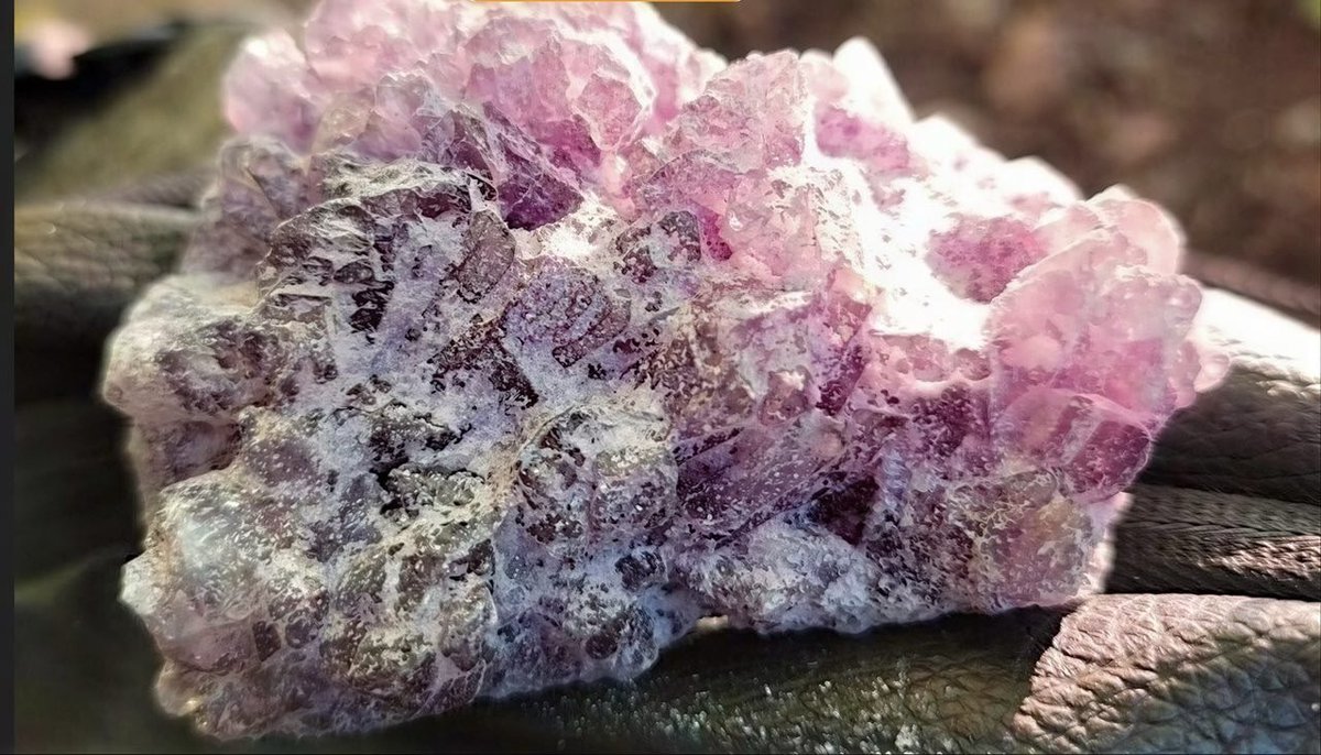 Muugizumaki's tweet photo. Purple MDMA 🛡

Elite purity. High-grade, vibrant purple crystals with a sharp, consistent crystalline structure. Fully lab-verified and passes all Marquis, Folin, Mandelin, and Mecke reagent tests to ensure absolute purity. Direct domestic dispatch for maximum stealth and speed. https://t.co/MsDHOxiUTa