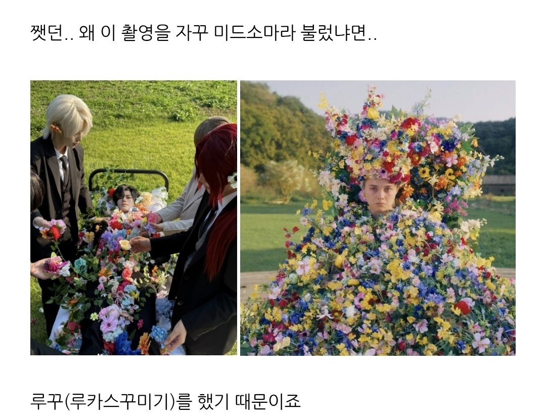 hwaljaJD's tweet photo. 팀원 블로그에서 훔쳤어요 
색감이 똑같다 https://t.co/Y3l9qKyYl2