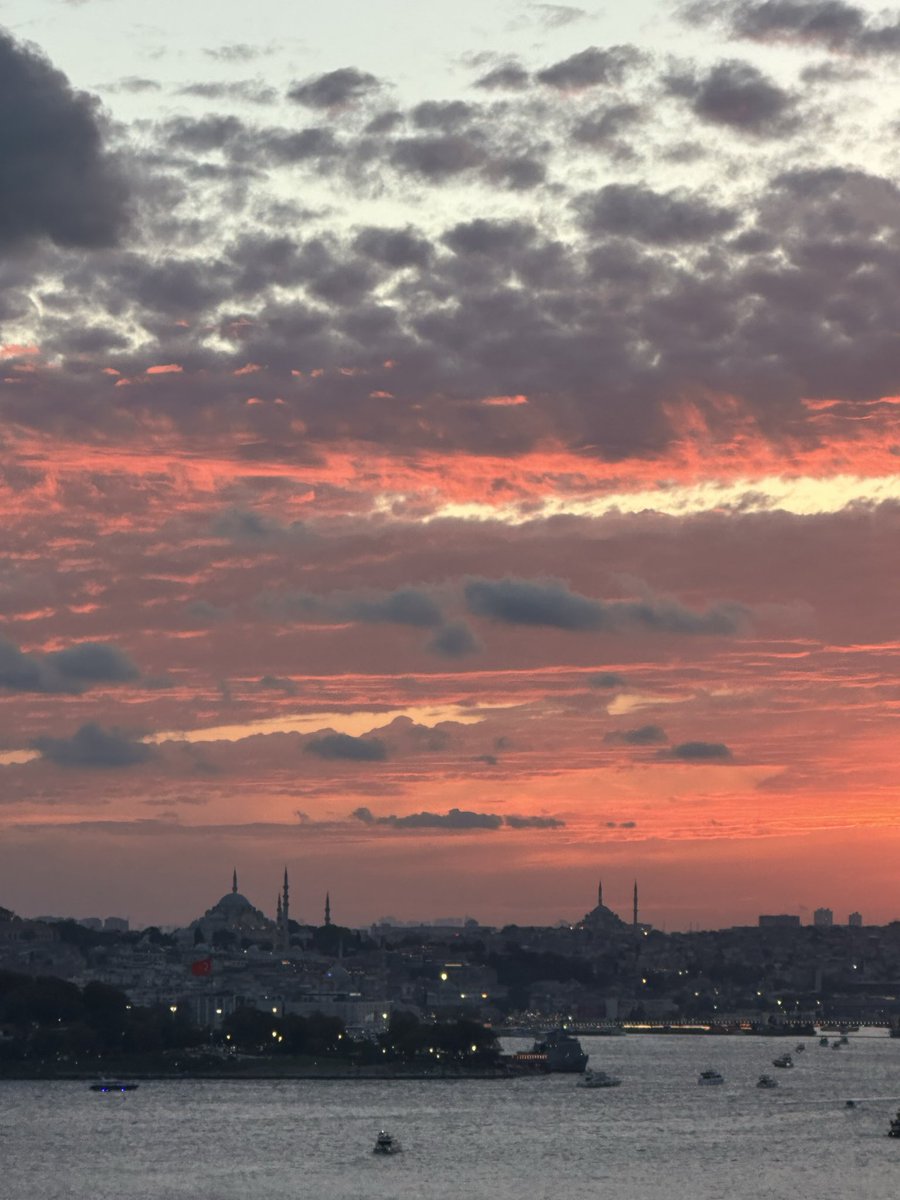 SunaAraz3's tweet photo. @turkerkilic Her şeyi gördüm, her şeyi duydum ama hepsini unuttum…Diderot🌎🌸 İstanbul❣️💫⭐️ https://t.co/vlwbnPaOtD