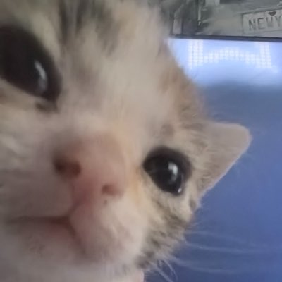 twciumes's tweet photo. #NovaFotoDePerfil https://t.co/vBD2en4AtG