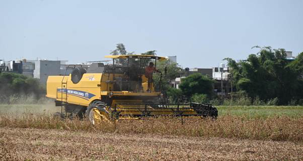kumarman145's tweet photo. Improved Soybean Varieties NRC 268 and NRC 270 Show Promising Signs of Yielding 20 Quintals per Hectare Despite Adverse Weather Conditions: Govt https://t.co/XJbuQFYuBg