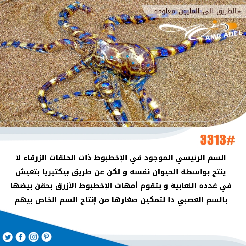 amr4u2004's tweet photo. #الطريق_الى_المليون_معلومه 
لله في خلقه شئون 
#علوم #عالم_البحار https://t.co/s2vP5hcLwX