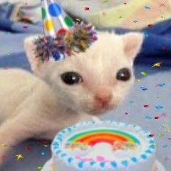 Valentino_chuuu's tweet photo. Opino que para oficializar a spreen como webon soarinng y aquino hagan un evento en MC y lo inviten, sylvee organice un gartic, mictia y Natalan un gta, Loco y Hero un Left o un Friendslop, que andreh se shipee con el, que pylee y ferly les hagan ff Omegaverse
Y Duxo y cejo https://t.co/qsjhXMK8I1