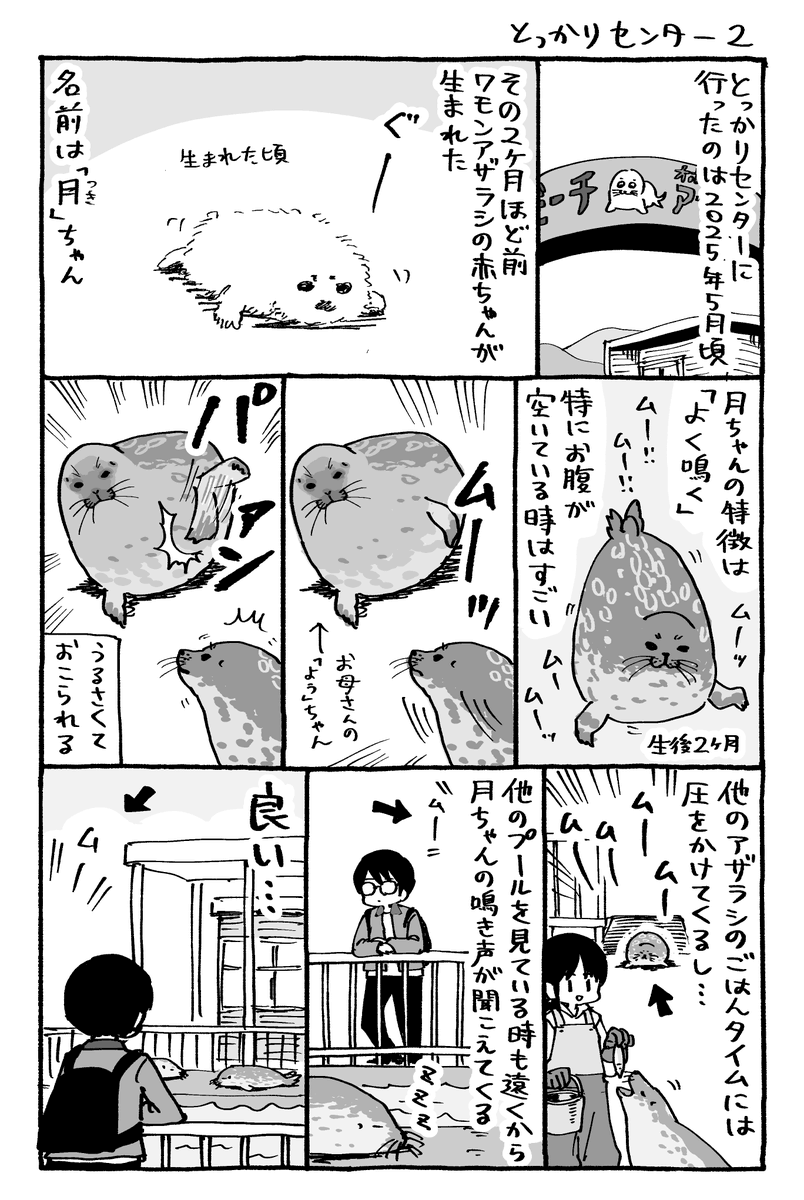 daioki tweet picture