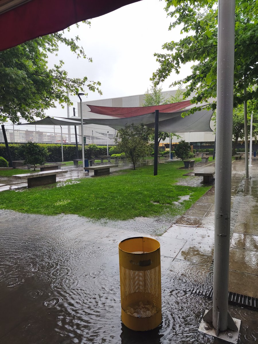 lil_efrain's tweet photo. #gastronomia #estudiante #chile #lluvia #santiago
Con estas lluvias unos buenos postres 😁 última prueba de taller cuarto semestre https://t.co/ZGzQ11VFQX
