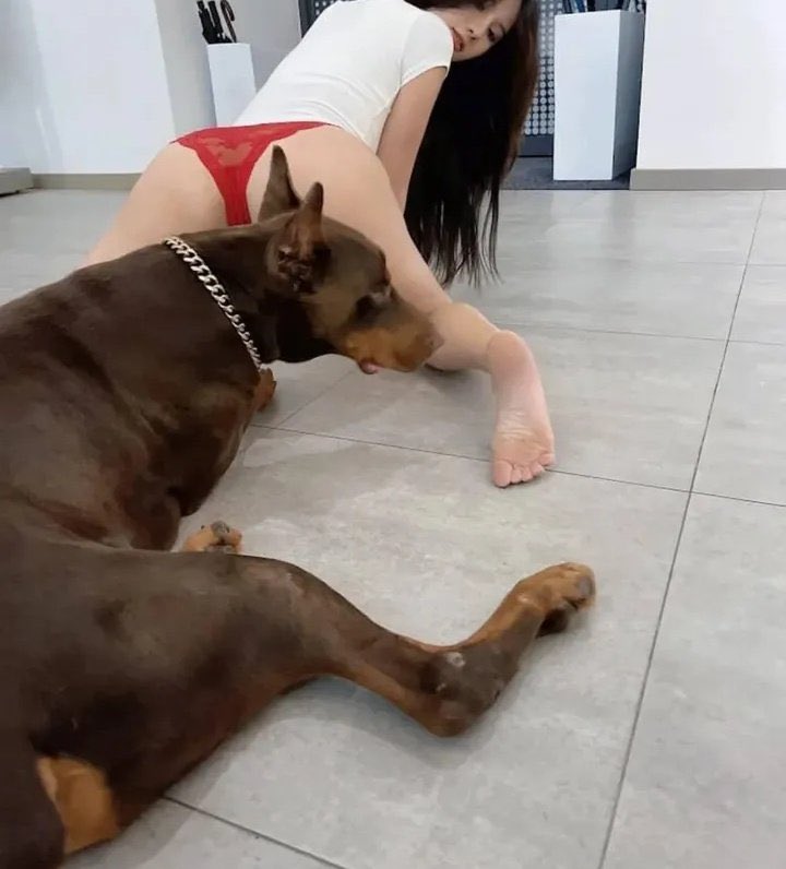 winnzypam's tweet photo. If you can stay the whole live stream without cumming tonight I will be honestly impressed
Link in bio🥰
Telegram: @Dog_Girlie1
#Dog #k9 #usa https://t.co/SNsPPWCFU8
