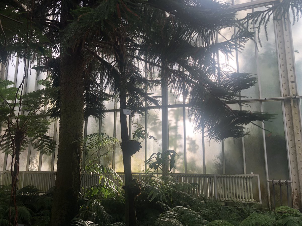 lillyyphilia's tweet photo. rainy day at the botanical garden https://t.co/ky5xu739Rc