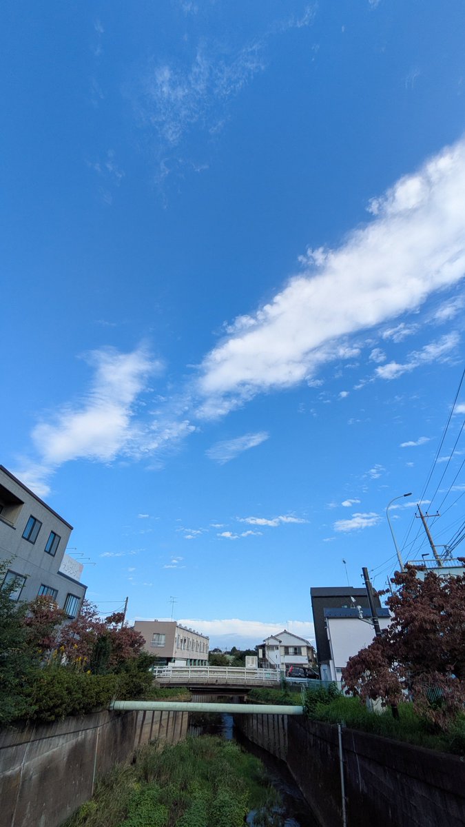 mohawkcharider's tweet photo. 道楽輪業開店してます❗

晴れ🌤️

昨日は大きな虹が見られました🌈
何かいいことあるかな〜😁

今日は18時半に出かけます
よろしければお立ち寄りください

#自転車
#修理
#西東京市
#西武柳沢
#東伏見 https://t.co/a4DTu4fiDB