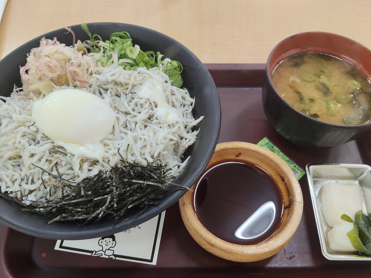 nako_gohan365's tweet photo. お昼ごはんはしらす丼☺️✨
海鮮市場に行ったので、たーくさん買ってきました😆🎶
夜ごはんが楽しみ🥰

 #今日の���はん  #お昼ごはん  #しらす丼  #海鮮市場  #お魚市場 https://t.co/rTK1xukXY1