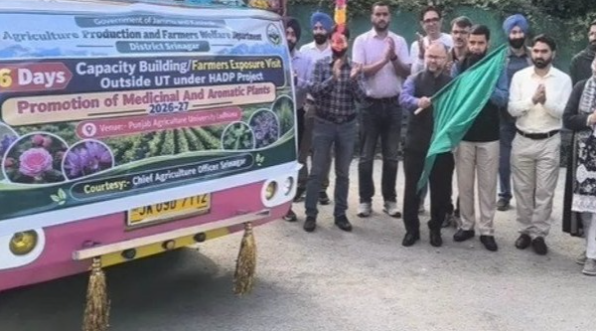 Rifa_e_Aam's tweet photo. Director Agriculture Kashmir flagged off 45 Srinagar farmers for a training visit to Punjab Agricultural University, Ludhiana, to promote high-value aromatic and medicinal plant cultivation. #NPCI #winvivoV80 #MyCinematicMoments #DigitalPayments #DKPutsIndiaFirst #LMurugan https://t.co/jfMPEvP2L2