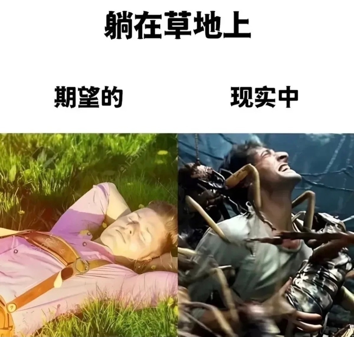 YunJiu's tweet photo. https://t.co/oWPBC4zAJO