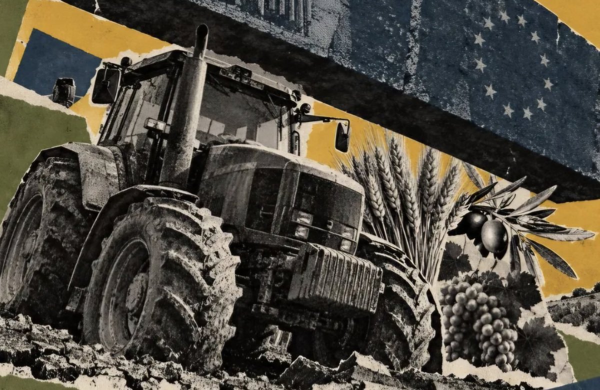 mpimentelsiles's tweet photo. Atención, el campo agoniza. Y vuelven las tractoradas, que apoyamos. Lee artículo, te explica situación, te interesará:

https://t.co/O5hVVyVKLr https://t.co/0ERMgJBvkl