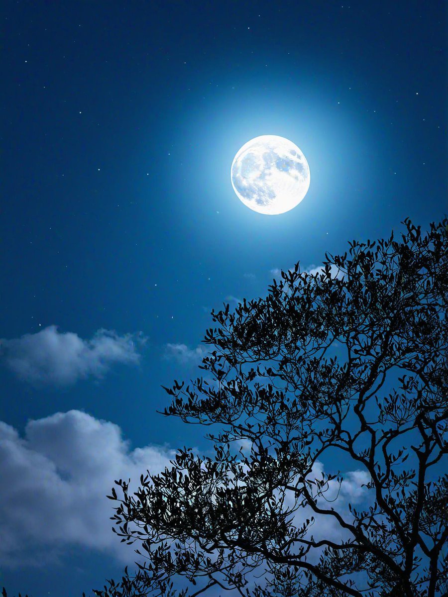 Meenakshikesar3's tweet photo. [Under the flying locust branches, the celestial saucer holds the soft moonlight—this late autumn scene is pure magic ]， https://t.co/t2cHQxpBfk