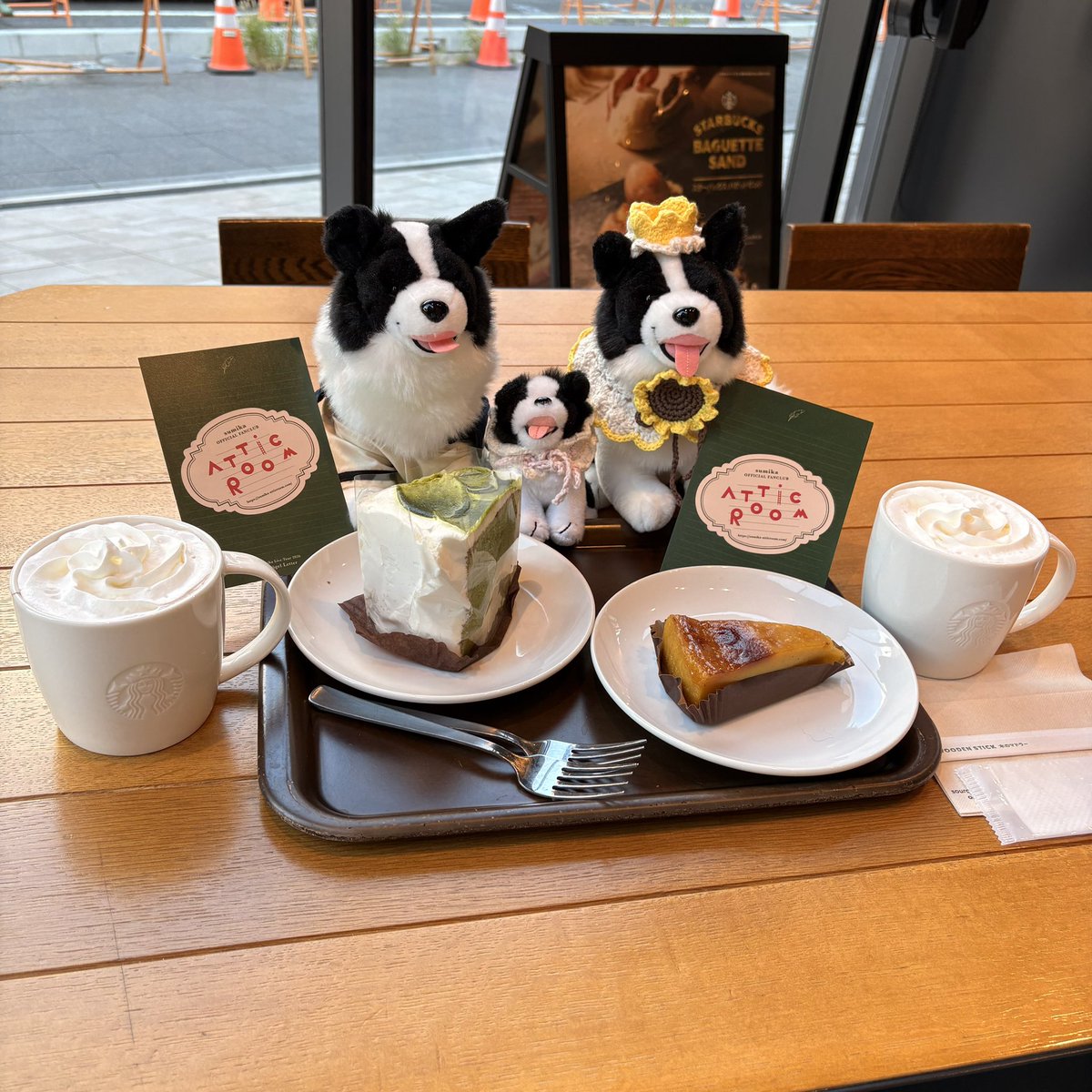 sumk_oc's tweet photo. ほんこち！
チケットはありません！笑 https://t.co/SBKeFt1zjk