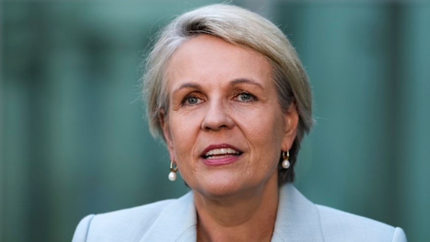 ThinkCriticalSo's tweet photo. Here is a classic case of very poor or fraudulent reporting on Aboriginal matters dlvr.it/TVvdHR #BreakingNews #Aboriginal #TanyaPlibersek #WTOCWAC https://t.co/sw0sLiwsAP