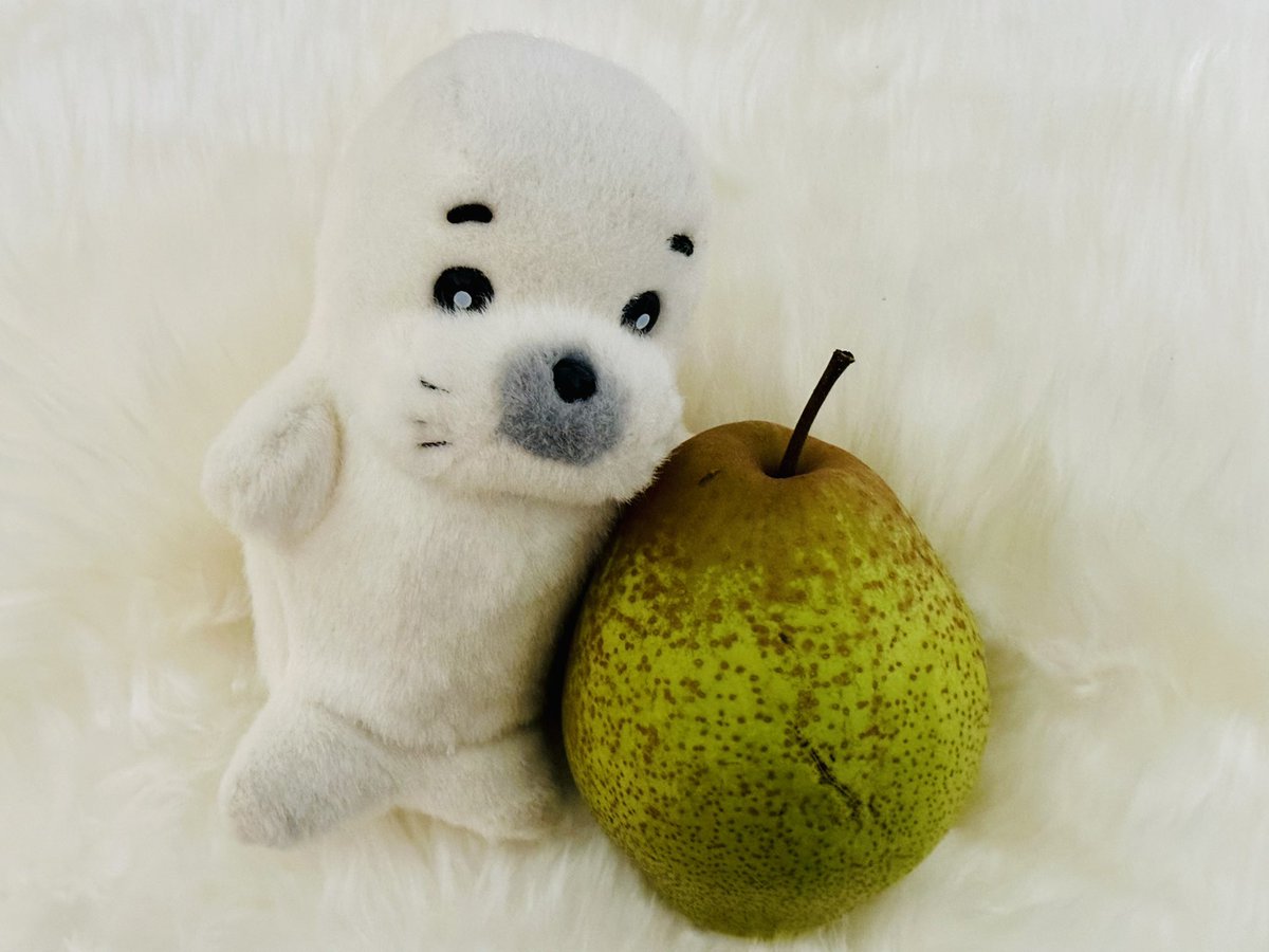 areureu_0815's tweet photo. ゴマと梨🍐 https://t.co/xAuzsPITFI