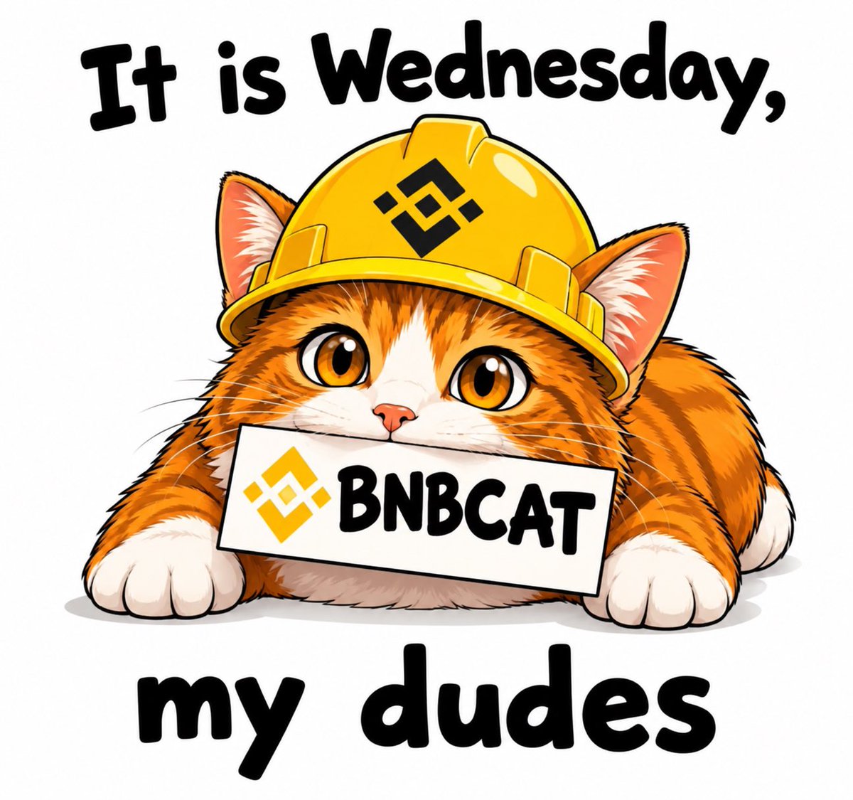 BnbOnChain's tweet photo. It’s Wednesday Fam 🐱💛

$BNBCAT Building brick by brick, one block at a time. 🧱⛓️

$BNBCAT is here to stay. 🟡🚀

Let’s keep building on BNB Chain! 🔥

#BNBCAT #BNBChain @cz_binance @CTOBNBCAT_x @heyibinance https://t.co/nPKWAtbfjP
