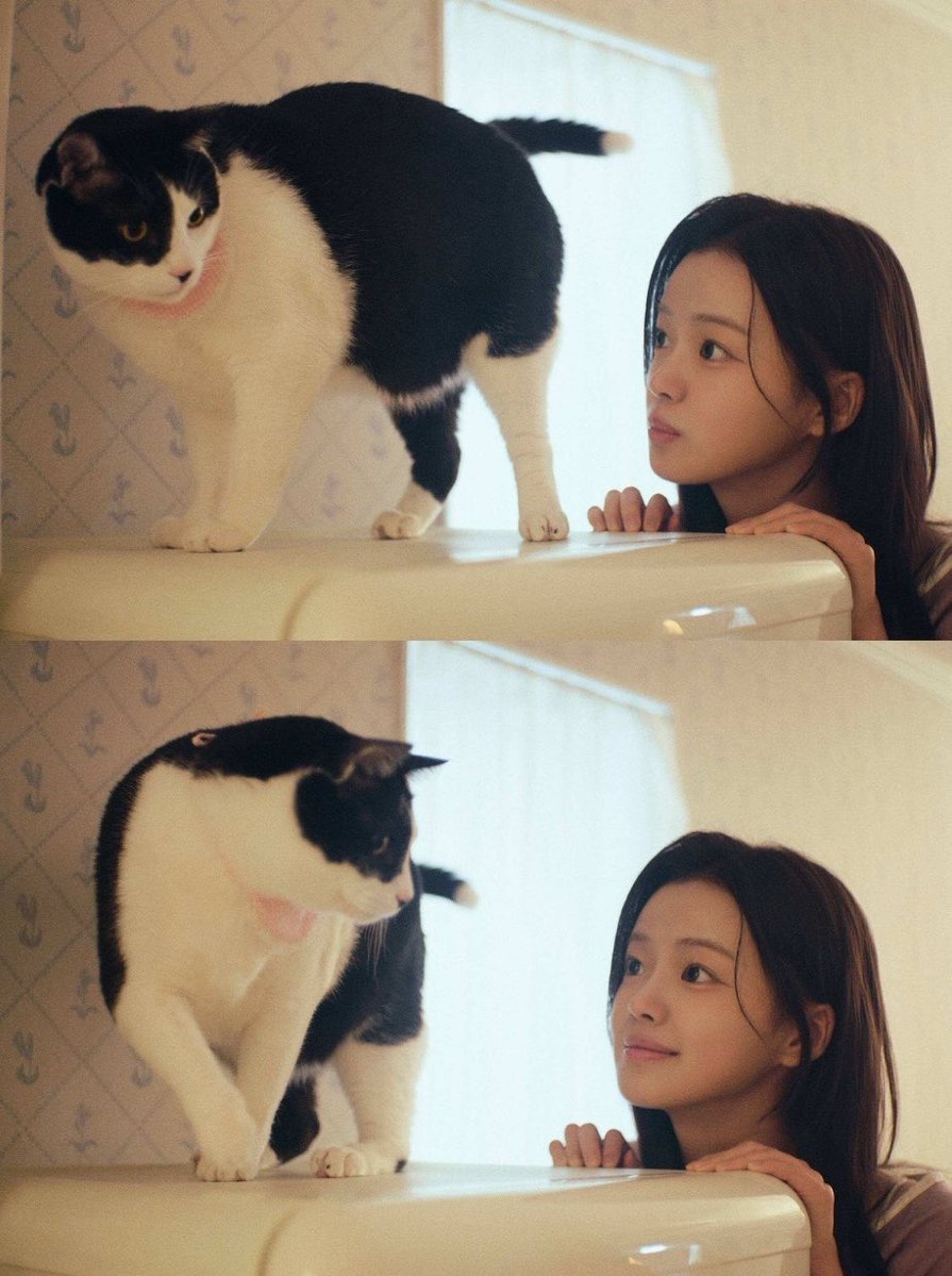 yumnoiy's tweet photo. 분할사진이 주는 감성이 너무좋다… https://t.co/c7RklZ43Im