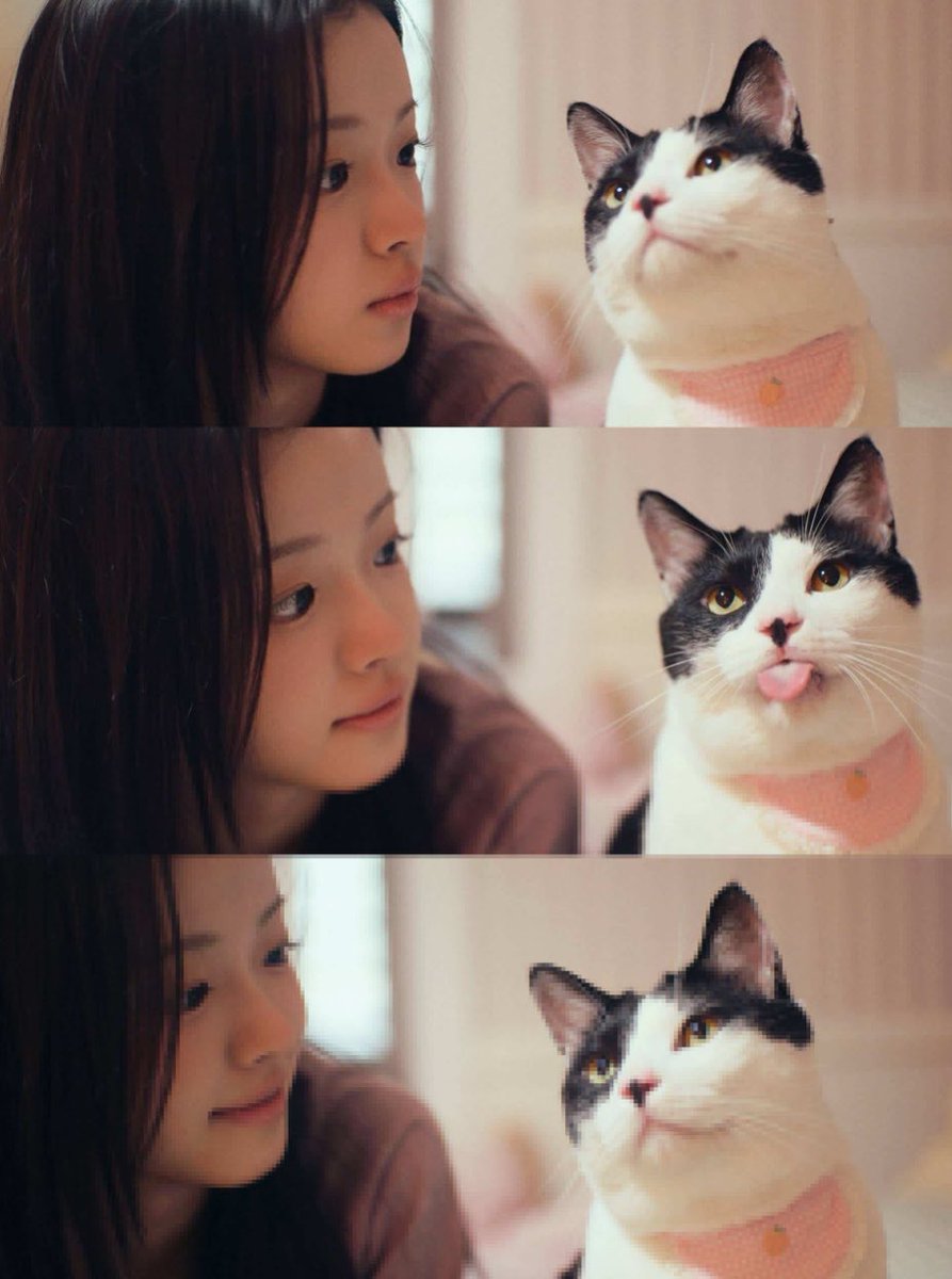yumnoiy's tweet photo. 분할사진이 주는 감성이 너무좋다… https://t.co/c7RklZ43Im