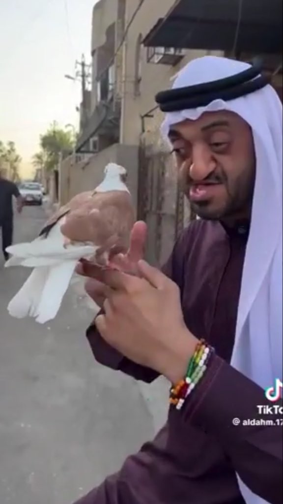 jozeph11_'s tweet photo. @BuRashid0o7 معروف https://t.co/9Au7V9OlIP