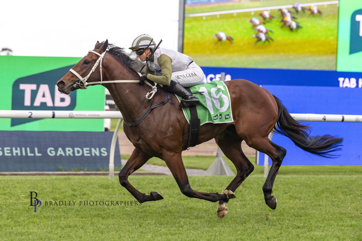 cwallerracing's tweet photo. A great day at Rosehill for Team CWR with three winners!! 

🥇AFFARI 💜
🥇BALLET D’LIGHT 💚
🥇UNHINGED 🤍

Congratulations to all connections &amp; thank you to our wonderful team! https://t.co/TzIa6Va3GR