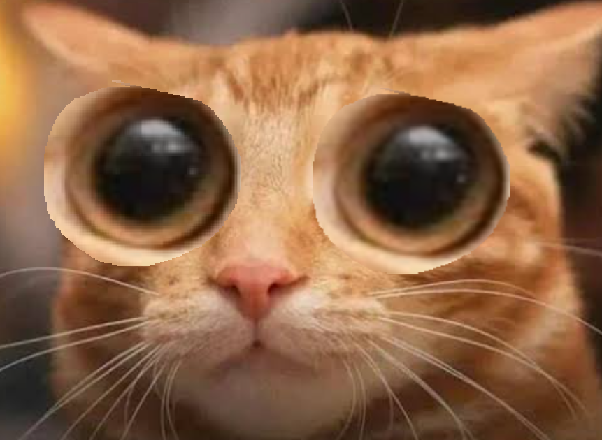 Fungalpaw's tweet photo. h https://t.co/zlztOv0RfX