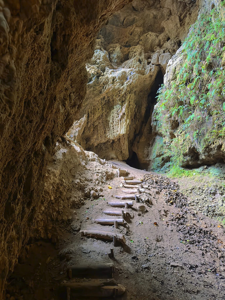 sentieripollino's tweet photo. Il #SentieroDeiSogni a Sangineto! 6 km di percorso naturalistico straordinario nel Parco del #Pollino, ideale per una passeggiata che diventa una suggestiva escursione vicino alla cascata del Vuglio. 
Info 👇
https://t.co/UOed17XylQ

Foto ©Maria Massaro e ©Proloco Sangineto https://t.co/7J13QvzxIB